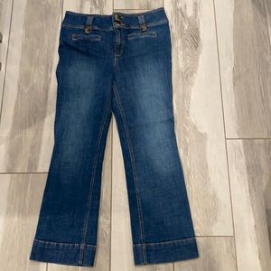 Pilcro by Anthropologie Vintage Vibe Jeans Sz28